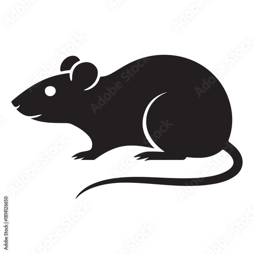 Rat Vector 