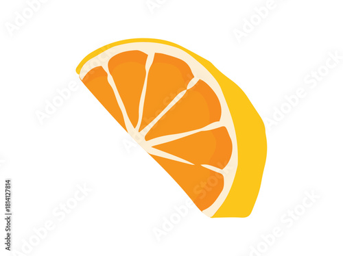 Ripe Orange Fruit Slice Illustration
