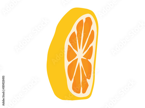 Ripe Orange Fruit Slice Illustration
