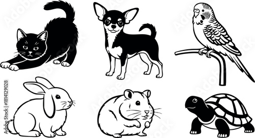 Vector illustration of small animals including cat dog rabbit hamster parrot and turtle in black and white style