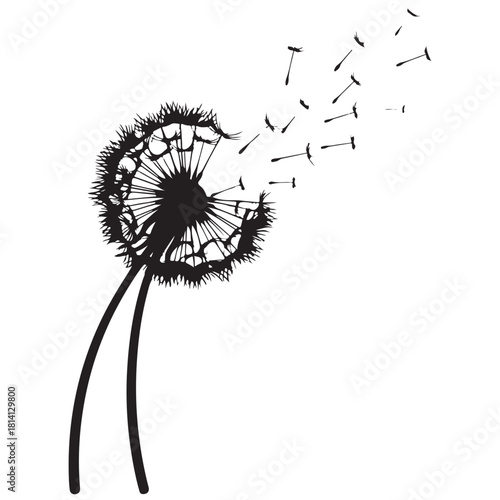 Black Dandelion Silhouette with Seeds Flying in Wind