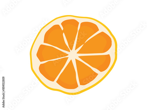 Orange Fruit Slice