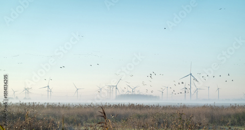 Sunrise over Oostvaardersplassen national park on a bright winter morning, with windturbines and power lines in the background, Flevoland,  Netherlands
