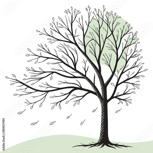 Black and white drawing of a deciduous tree losing its leaves