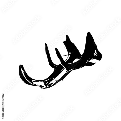 black and white horn