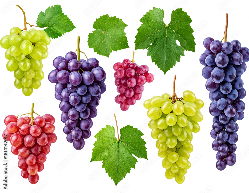 Fototapeta premium - Variety Pack of Fresh Grape Bunches with Different Shapes and Sizes, Isolated on Transparent Background