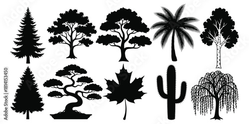 Assorted Tree and Plant Silhouettes pine tree palm tree