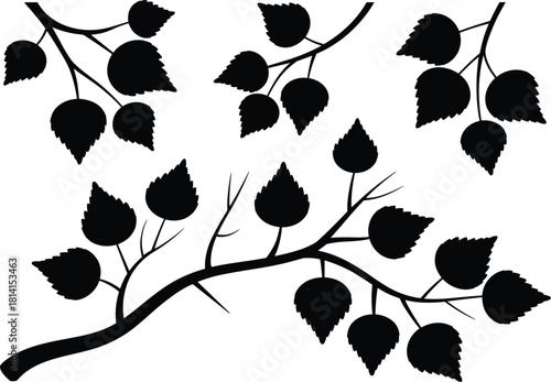 Birch tree branches and leaves black silhouette set, deciduous foliage, nature, organic, spring, summer, and decorative vector elements for graphic design