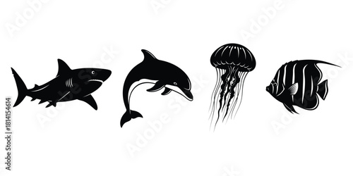 Black Silhouette Marine Animals and Jellyfish on White Background
