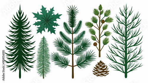 Collection of stylized evergreen trees and pine cones on white background