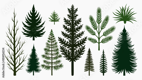 Collection of diverse evergreen and deciduous tree silhouettes and illustrations