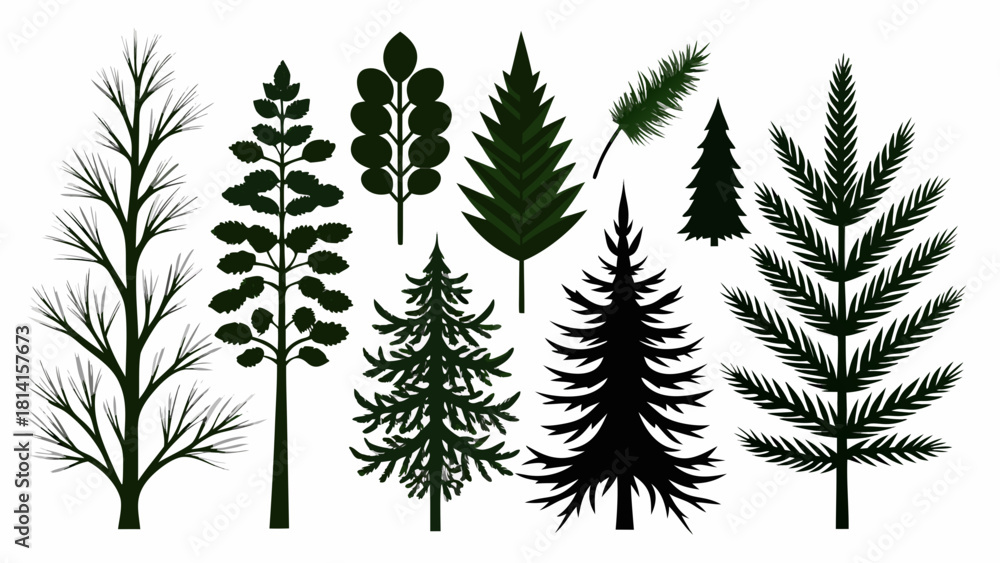 Fototapeta premium Collection of stylized evergreen and deciduous tree silhouettes