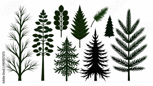 Collection of stylized evergreen and deciduous tree silhouettes