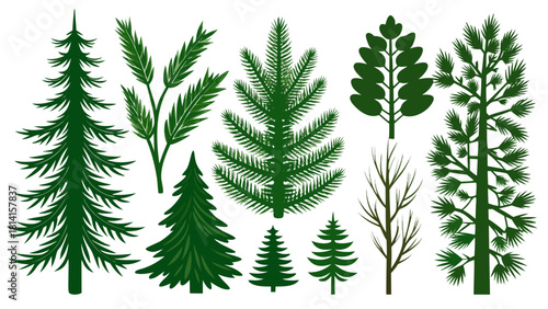 Collection of various green coniferous trees and branches on white background