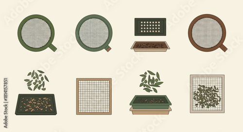 Seed Germination Process - A Visual Guide to Sprouting Seeds.