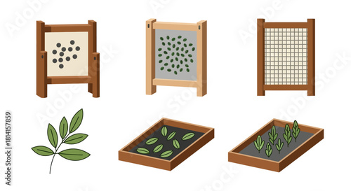 Seed Germination Stages - From Seed to Seedling in Wooden Frames and Trays.