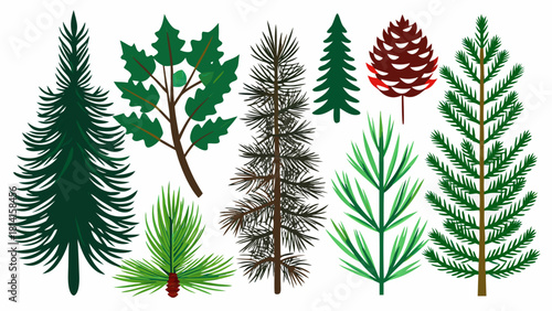 Collection of stylized evergreen trees and pine cones