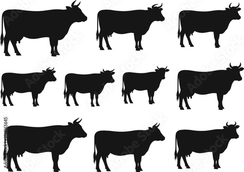 Cow silhouette vector set featuring horned cattle in varied poses, ideal for farm, livestock, rural design, and agriculture themes