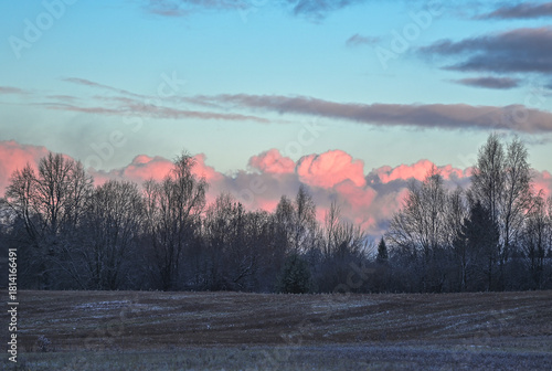 Pink Winter Clouds Over Frosty Trees
