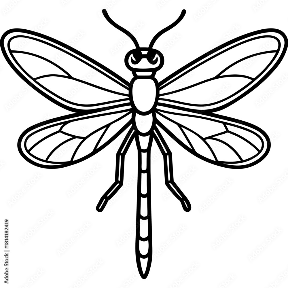 Fototapeta premium Damselfly line art vector