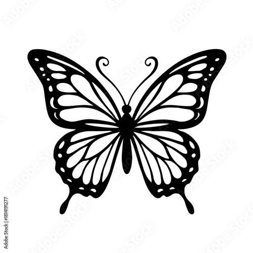 Butterfly 1