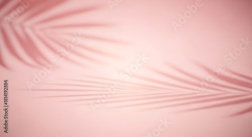 Soft pink background with subtle shadow overlay of palm leaf