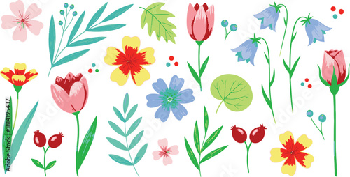 Colorful floral collection hand drawn flowers and leaves on white background