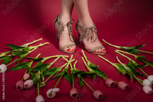 Woman's legs on a red background surrounded by tulips