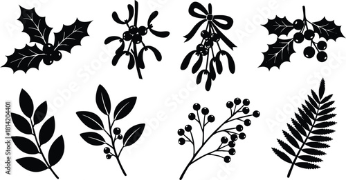 Collection of black silhouette mistletoe holly leaves and branches vector illustration for seasonal decoration design