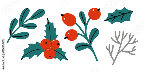 Vector set of winter flowers and branches.