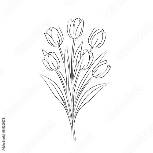 Vintage engraving style tulip flower. Retro botanical ink line art illustration.