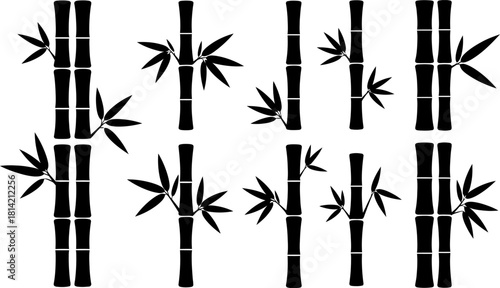 Black silhouette bamboo stalks and leaves set on white background Vector