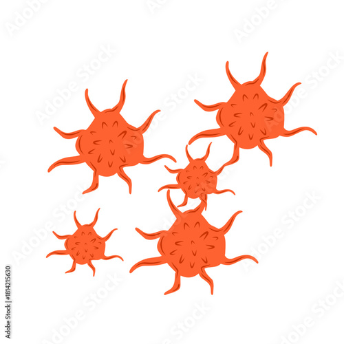 platelet cell vector