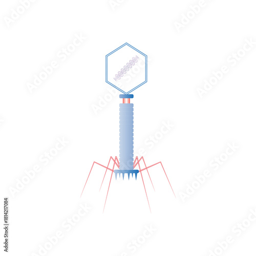 Bacteriophage Cell Structure Science Design. Vector Illustration.