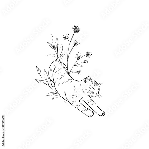 Minimalist black and white line art drawing of a stretching cat with flower