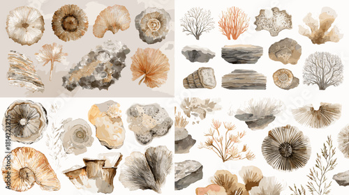 Natural watercolor collection featuring coral, fossils, rocks, and marine plants in warm earthy tones. Ideal for botanical design, ocean themed artwork, patterns, and creative illustrations.