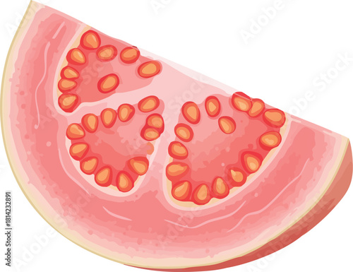 A slice of guava with seeds on a white background, showcasing its pink flesh and juicy pulp in a simple still life composition.