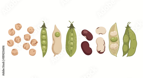 Close-up of various legumes, including chickpeas, peas, and beans, displayed on a white background.