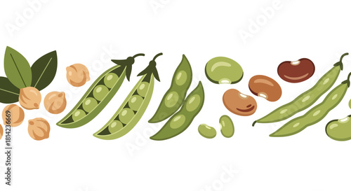 A vibrant illustration of various legumes including chickpeas, peas, soybeans, fava beans, and kidney beans, arranged horizontally.