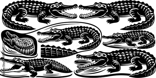 A collection of illustrations featuring various poses of crocodiles. The crocodiles are primarily rendered in shades of green and brown, with detailed scales and open mouths revealing pink interiors. 