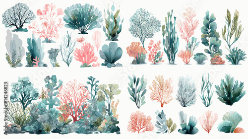 A watercolor coral and sea plant collection in soft blue and pink hues. Ideal for marine decor, underwater artwork, nature themed designs, and coastal patterns.