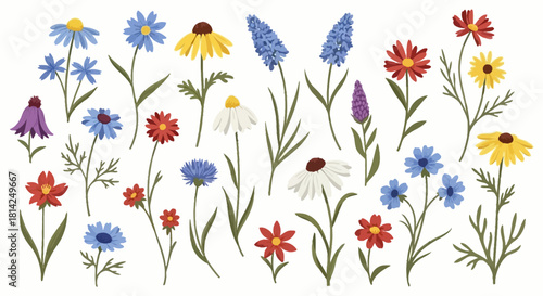 A vibrant and diverse collection of hand-drawn wild flowers, showcasing the beauty of various botanical species blooming in nature, perfect for spring and summer designs
