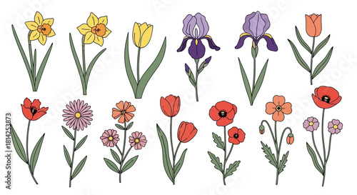 Elegant Floral Outlines A Collection of Spring Flowers in Delicate Line Art