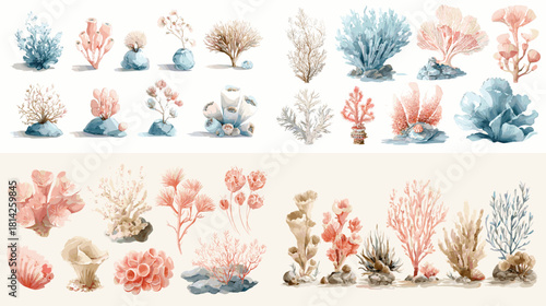 A refined watercolor coral arrangement featuring sea plants, reef textures, and natural coastal elements. Ideal for marine artwork, underwater themes, decor, and botanical designs.