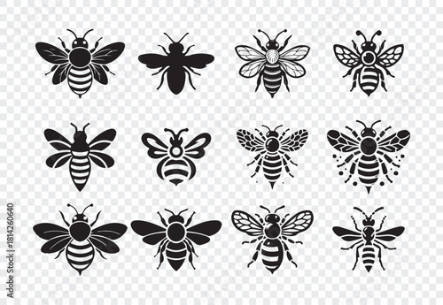 Set of honey bee bumblebee isolated design elements apis mellifera worker bee insects