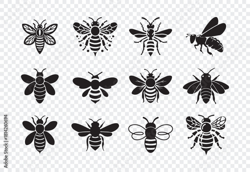 Set of honey bee bumblebee isolated design elements apis mellifera worker bee insects