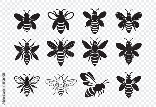 Set of honey bee bumblebee isolated design elements apis mellifera worker bee insects