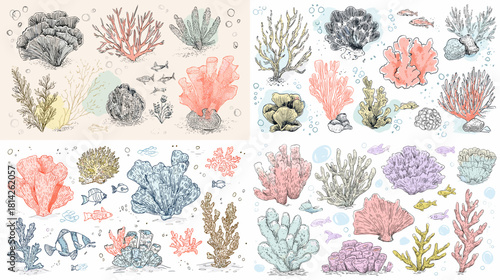 A detailed coral and marine sketch collection with fish, sea plants, and reef elements in soft pastel tones. Perfect for scientific themes, ocean artwork, and underwater illustrations.