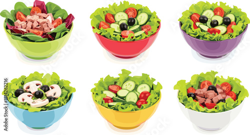 Cartoon salad bowls, healthy food, vegetable mix, chicken, tomato, cucumber, mushroom, shrimp, colorful meals, vector illustration