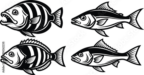 Set of four aggressive fish black and white vector illustrations, mascot collection for fishing, marine life, sea animals, and seafood logo design elements